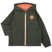 Windjack Timberland T60475