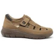 Sneakers Luisetti BASKETS 36111