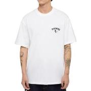 T-shirt Dickies -