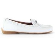 Mocassins Gabor 64.203