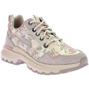 Lage Sneakers Caterpillar Colorado Sneakers
