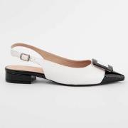 Ballerina's Montevita 102963