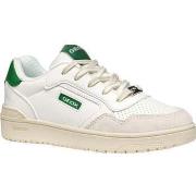 Lage Sneakers Geox -