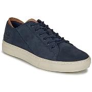 Lage Sneakers Timberland ADV 2.0 CUPSOLE MODERN OX