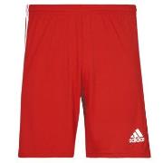 Korte Broek adidas SQUAD 21 SHO