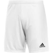Korte Broek adidas Ent22 Sho