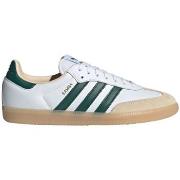 Lage Sneakers adidas Samba OG JS3831