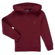 Sweater Polo Ralph Lauren LS PO HOOD