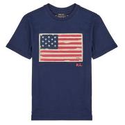 T-shirt Korte Mouw Polo Ralph Lauren SS FLAG TEE