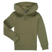 Sweater Polo Ralph Lauren LS PO HOOD