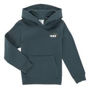 Sweater Puma ESS 2 COLOR Small No. 1 Logo Hoodie FL