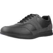Lage Sneakers Geox U AVERY