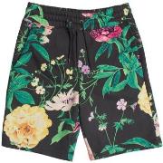 Korte Broek Gap 802834-000