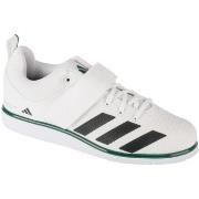 Fitness Schoenen adidas adidas Powerlift 5 Weightlifting