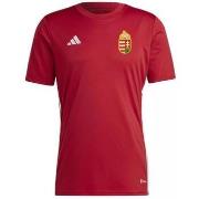 T-shirt Korte Mouw adidas -