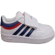 Lage Sneakers adidas hoops