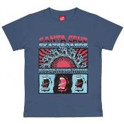 T-shirt Korte Mouw Santa Cruz Youth vtg screaming connect