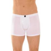 Boxers Cane BASTIA