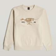 Trui G-Star Raw RUNNING DOG BACK GR R S