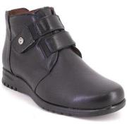 Laarzen Pitillos BOTTINES 20203