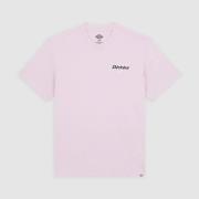 T-shirt Korte Mouw Dickies STATESVILLE TEE