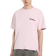 T-shirt Korte Mouw Dickies SLAYDEN GD TEE