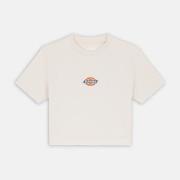 T-shirt Korte Mouw Dickies MAPLE VALLEY