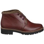 Laarzen Pitillos BOTTINES 10777