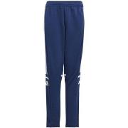 Broeken adidas Sq25 Tr Pnt Y