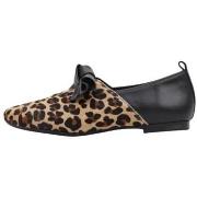 Ballerina's Sandra Fontan BRASIL