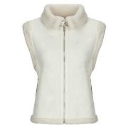 Windjack Only ONLKINGSTON