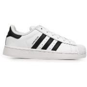 Lage Sneakers adidas Superstar II C