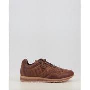 Lage Sneakers Cetti 848