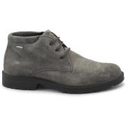 Laarzen IgI&amp;CO IGI-I25-8602533-FA