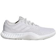 Lage Sneakers adidas Crazytrain LT W