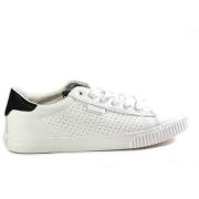 Lage Sneakers Big Star HH274071