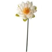 Beeldjes Leonardo Fiore