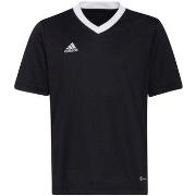 T-shirt Korte Mouw adidas Entrada 22 Jsy