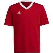 T-shirt Korte Mouw adidas Entrada 22 Jsy