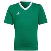 T-shirt Korte Mouw adidas Entrada 22