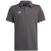 T-shirt Korte Mouw adidas Entrada 22