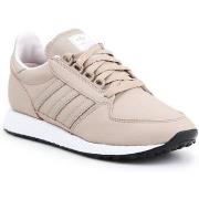 Lage Sneakers adidas Forest Grove