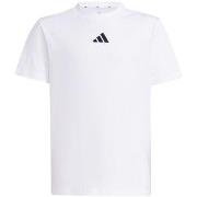 T-shirt Korte Mouw adidas JC9774