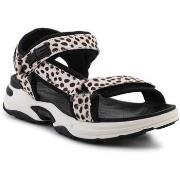 Nette Schoenen D.Franklin DFSH406002DOTT