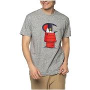 T-shirt Korte Mouw Champion X Peanuts