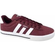 Lage Sneakers adidas Daily 30
