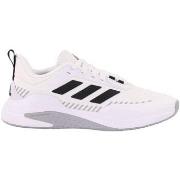 Lage Sneakers adidas Trainer V