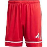 Korte Broek adidas Squadra 25