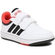 Lage Sneakers adidas Hoops Lifestyle