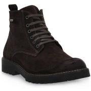 Hoge Sneakers Imac Caffe Scamosciato Trend